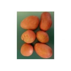 Rooster Potatoes 10kg - €5.99